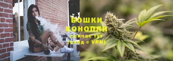 крисы Кодинск