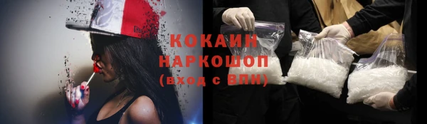 шишки Козловка