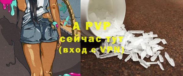 крисы Кодинск