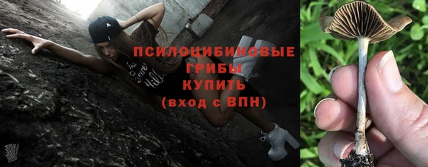 apvp Козельск