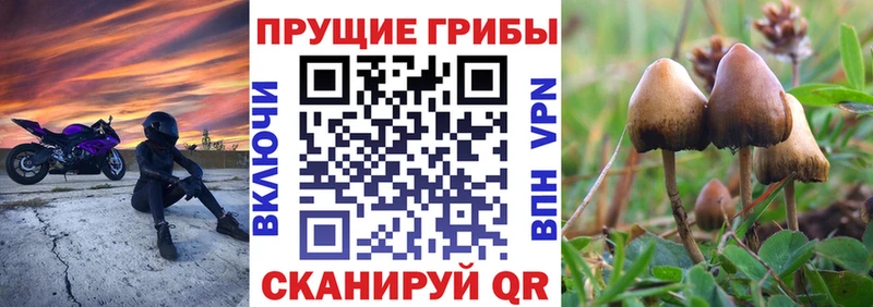 Купить  Дубна  Галлюциногенные грибы ЛСД 